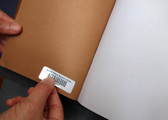 A barcode sticker being stuck to the inside cover of Simon Phillipson 'Oring of Species' book