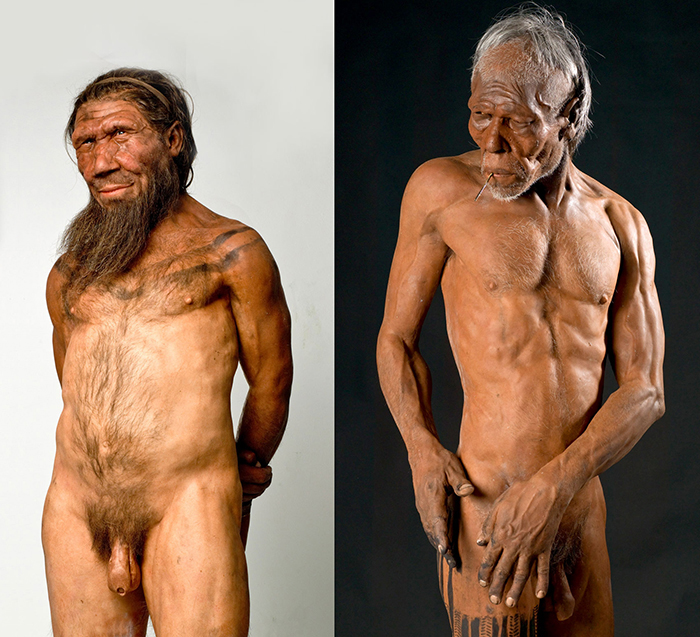 Lifesize models of Ned the Neanderthal and Quentin the Homo sapiens