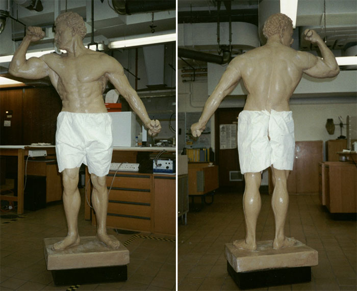 Front and back view of Schwarzenegger's Sandow replica 