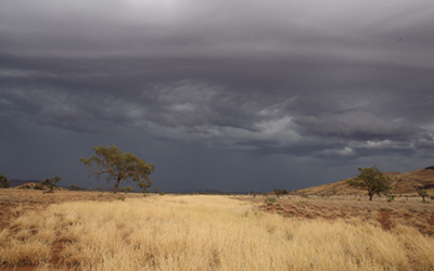 Petrichor