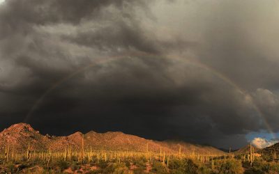 The evolutionary and restorative reasons we love the smell of oncoming rain
