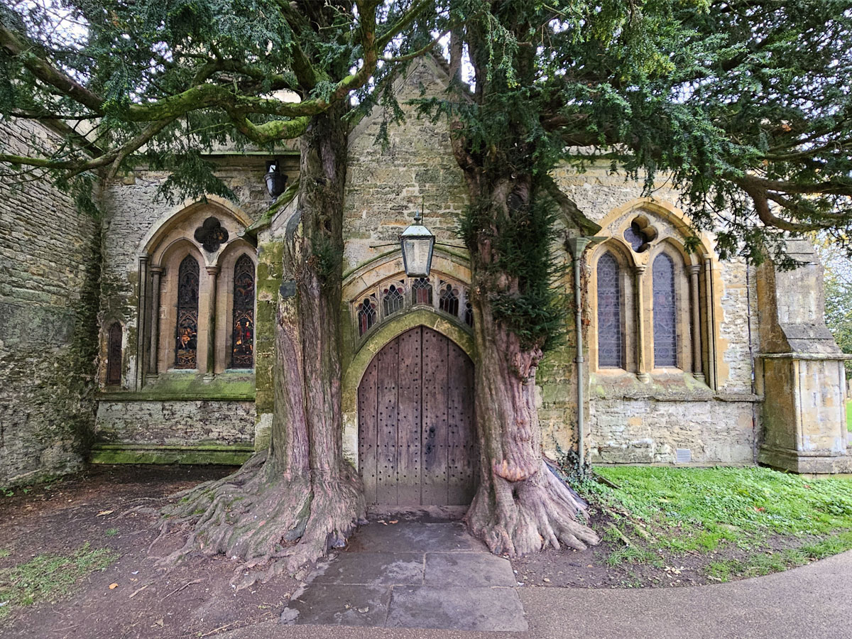 A door on the side of a church with two large trees either side of the door