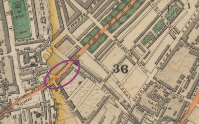Searching for Miss Pearson: reader, scholarly project contributor, possible servant