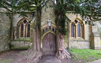 History writing, history, and writing #13