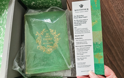 History writing, history, and writing #1